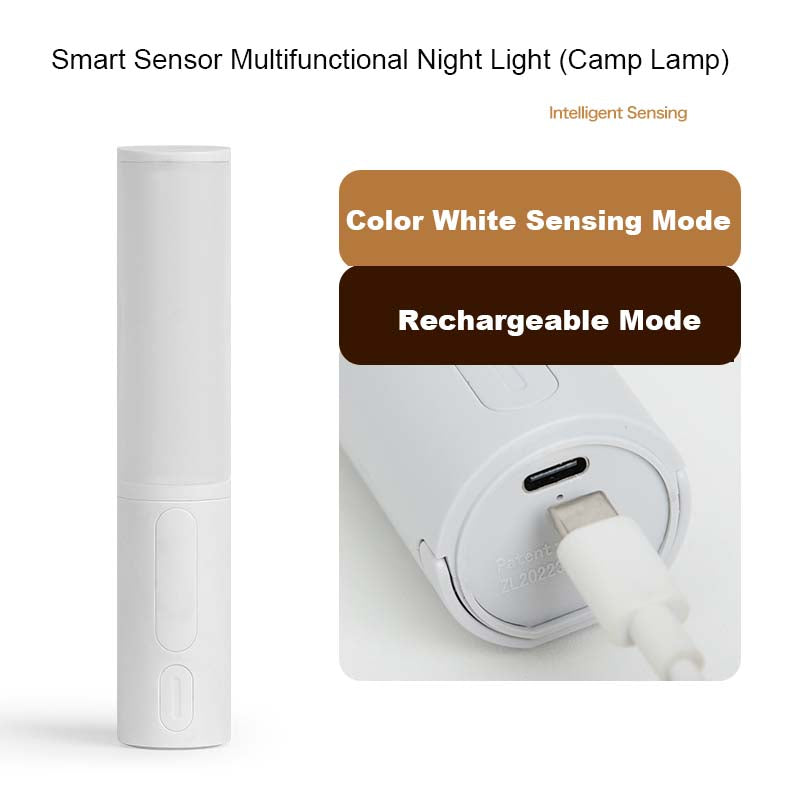 Multifunctional night light with intelligent sensor 