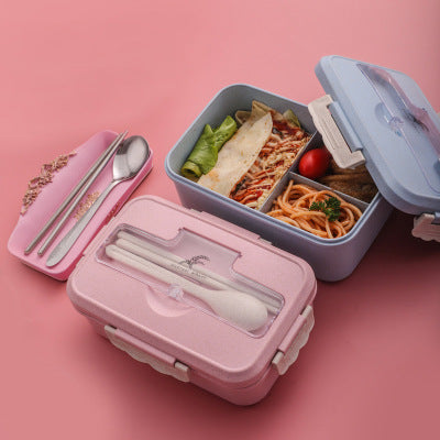 Lunch box with container