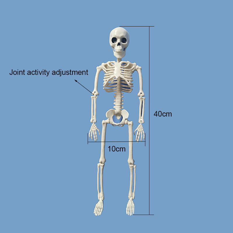 Halloween Skeletten Dekoration Nr. 2